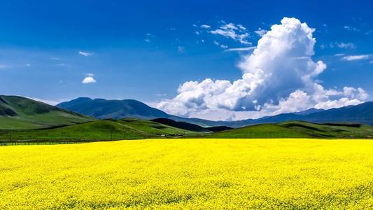 騰沖公司組織一線職工參加療休養(yǎng)活動(dòng)