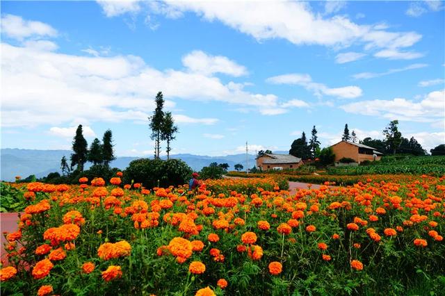 騰沖徒步路線馬拉松賽道