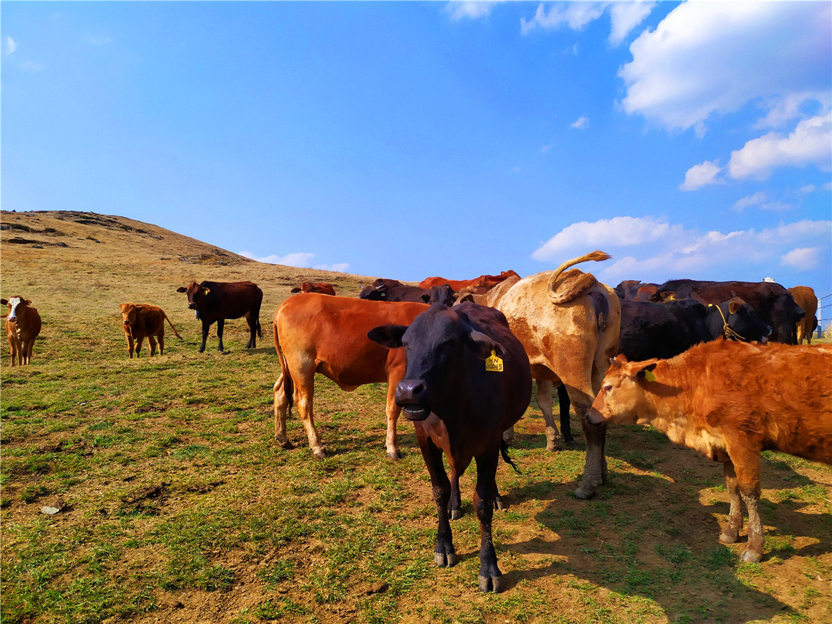 騰沖戶(hù)外徒步路線