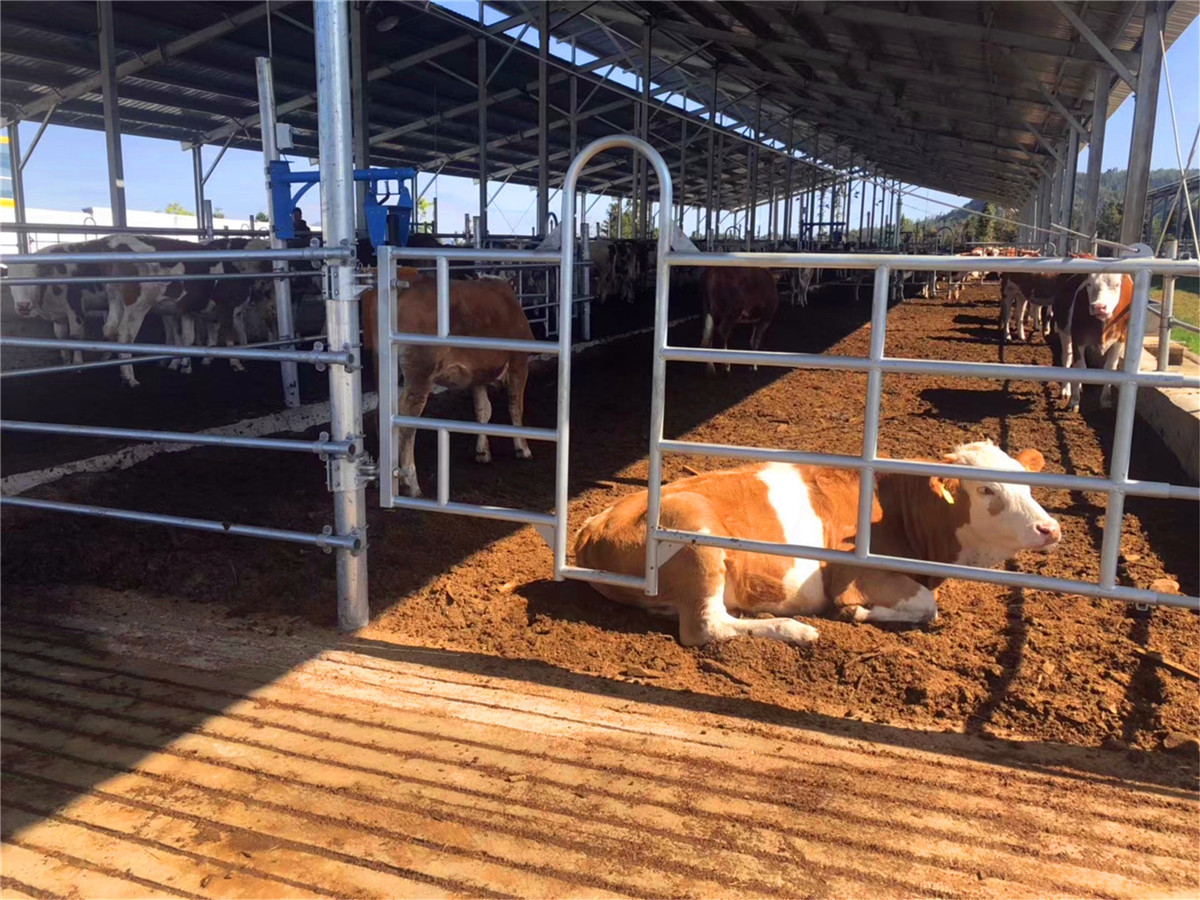 騰沖戶(hù)外徒步路線