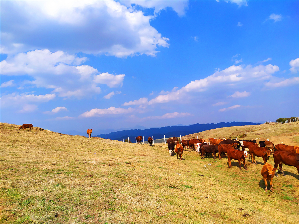 騰沖戶(hù)外徒步路線