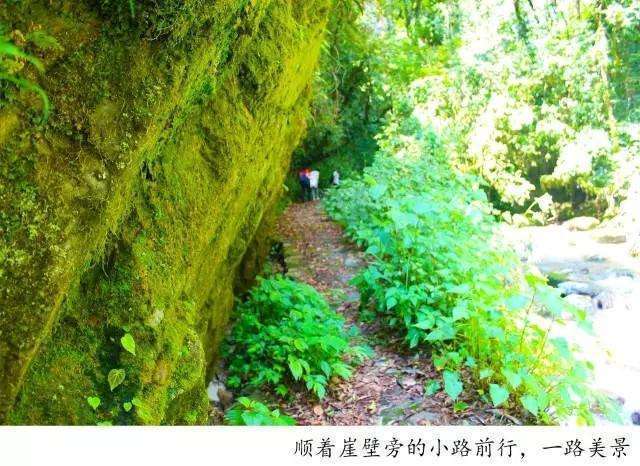 騰沖高黎貢山徒步之五道溪徒步
