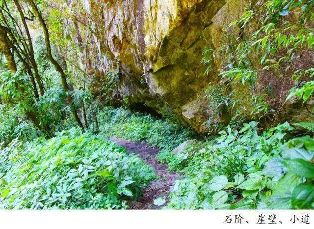 騰沖高黎貢山徒步之五道溪徒步