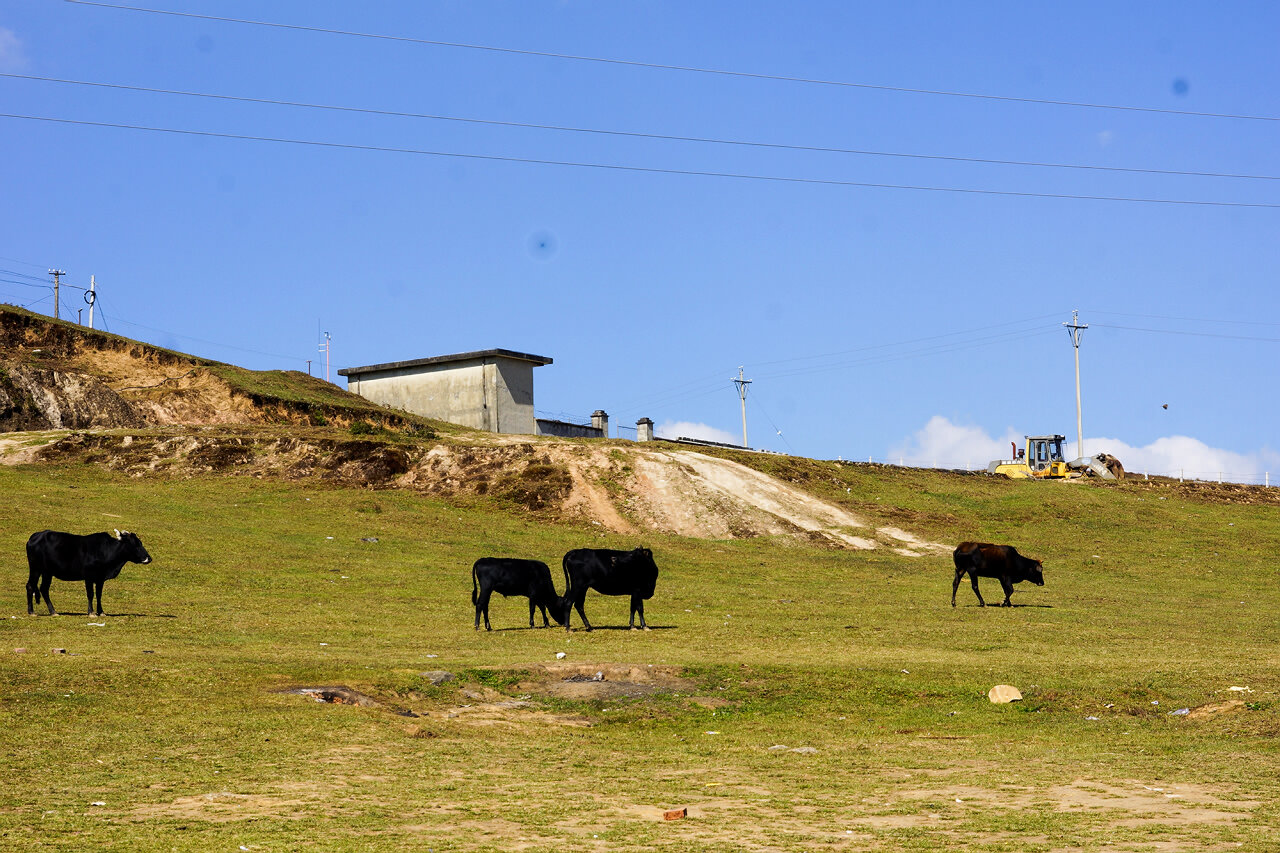 騰沖會議獎勵會展汽車發(fā)布會戶外拓展訓(xùn)練研學(xué)游學(xué)旅拍基地之騰沖東山高原草甸牧場