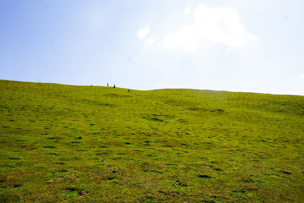 騰沖東山高原草甸牧場