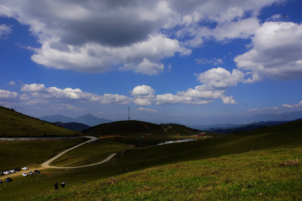 騰沖東山高原草甸牧場