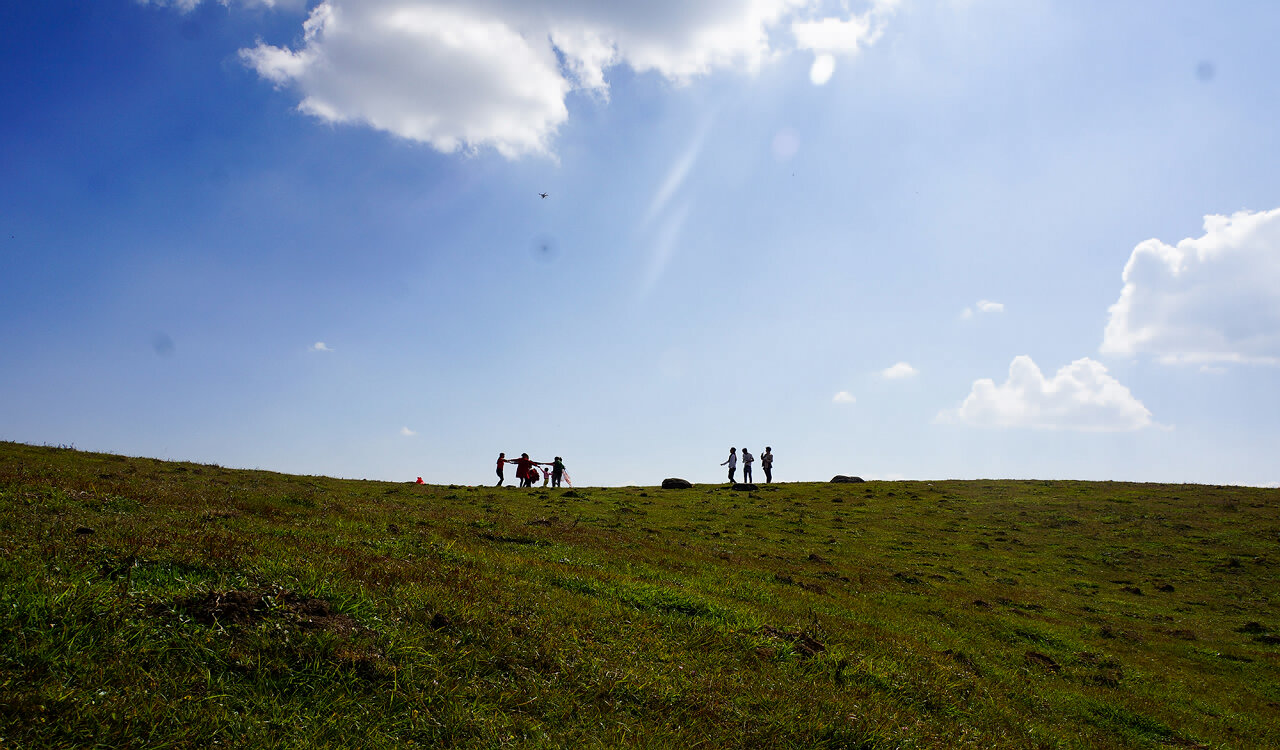 騰沖東山高原草甸牧場