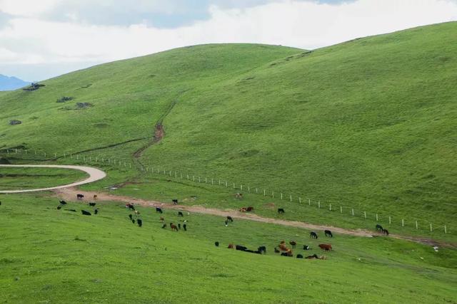 騰沖徒步線路推薦--騰沖國(guó)家登山健身步道之東山：騰沖竟然深藏著這么美麗的草原風(fēng)光