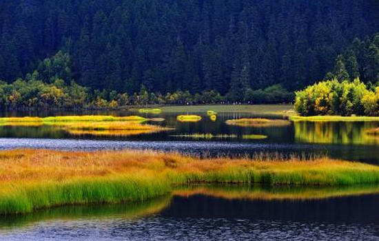 云南騰沖四寶之一--騰沖宣紙