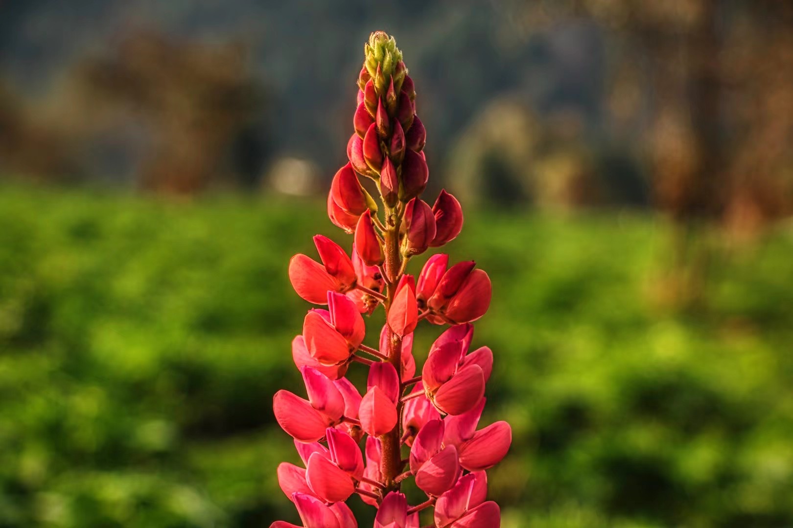 騰沖歸云莊戶外拓展基地