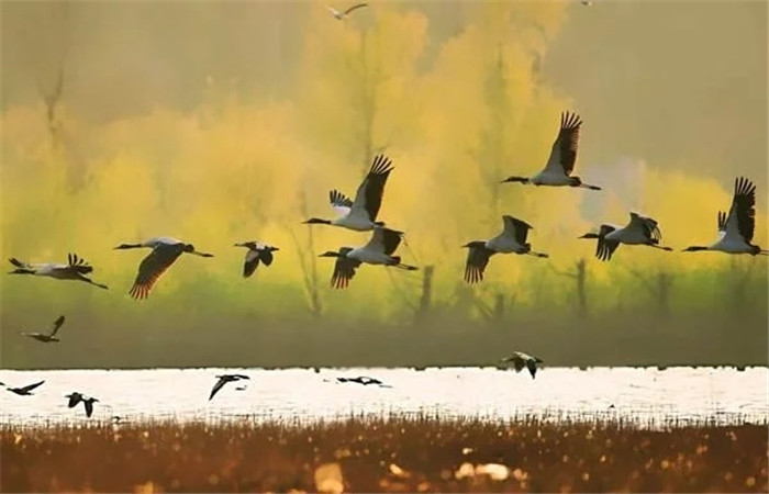 騰沖旅游包車游攻略，天行旅行租車公司--騰沖專業(yè)的汽車租賃公司