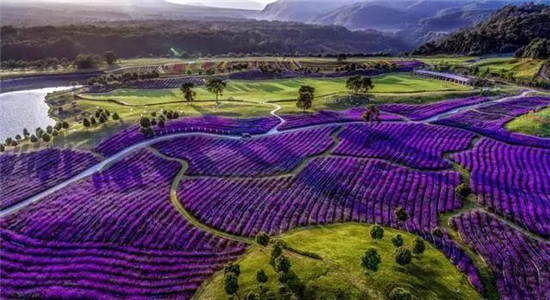 騰沖旅游 騰沖旅游