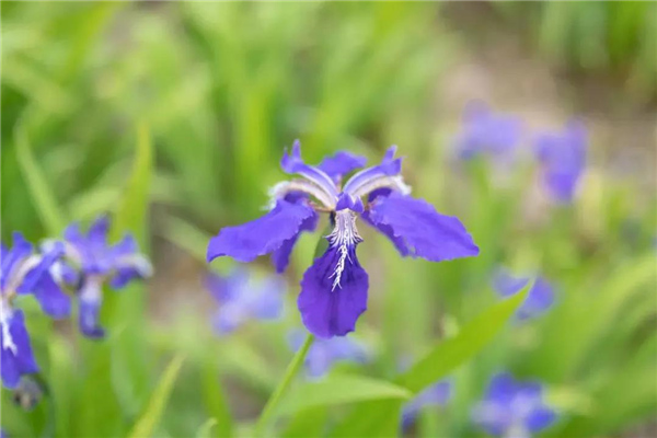 騰沖戶外拓展項目推薦：60個拓展訓練游戲集錦（中）