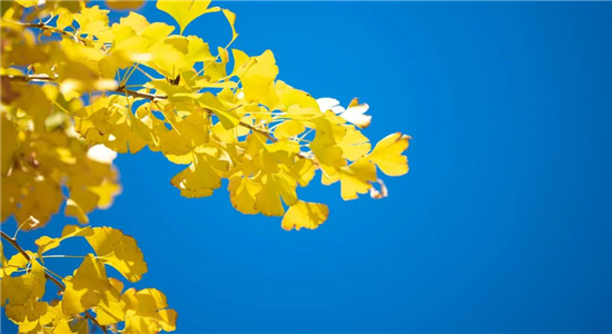 騰沖戶外拓展項(xiàng)目推薦：60個(gè)拓展訓(xùn)練游戲集錦（下）