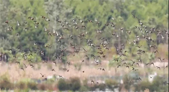 騰沖景區(qū)景點(diǎn)