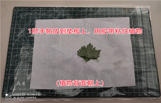 騰沖戶(hù)外拓展