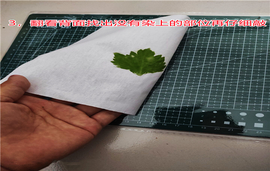 騰沖戶(hù)外拓展