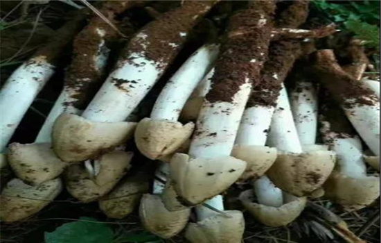 騰沖景區(qū)景點