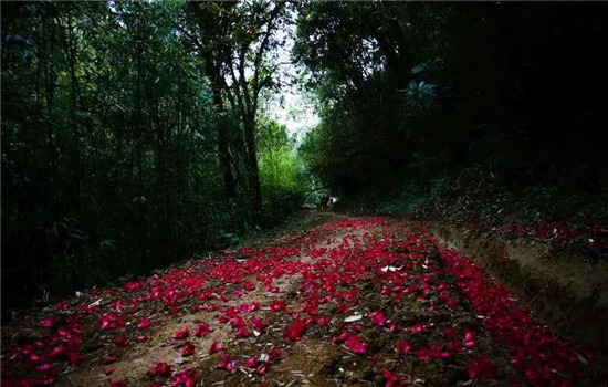 騰沖景區(qū)景點