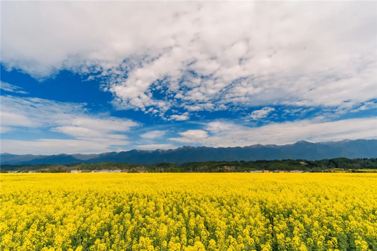 騰沖景區(qū)景點