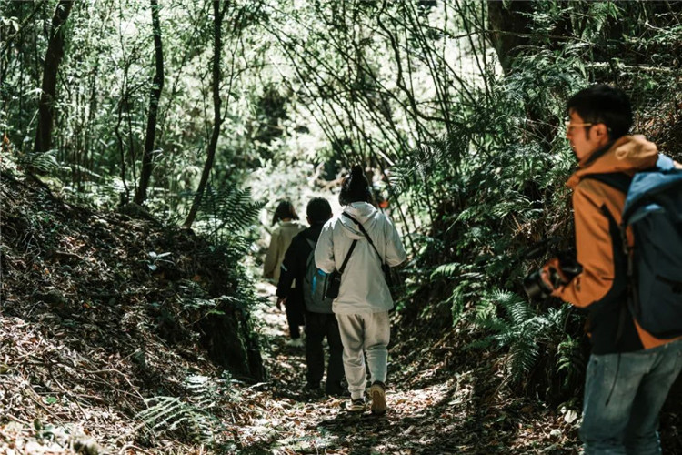 騰沖徒步線路推薦