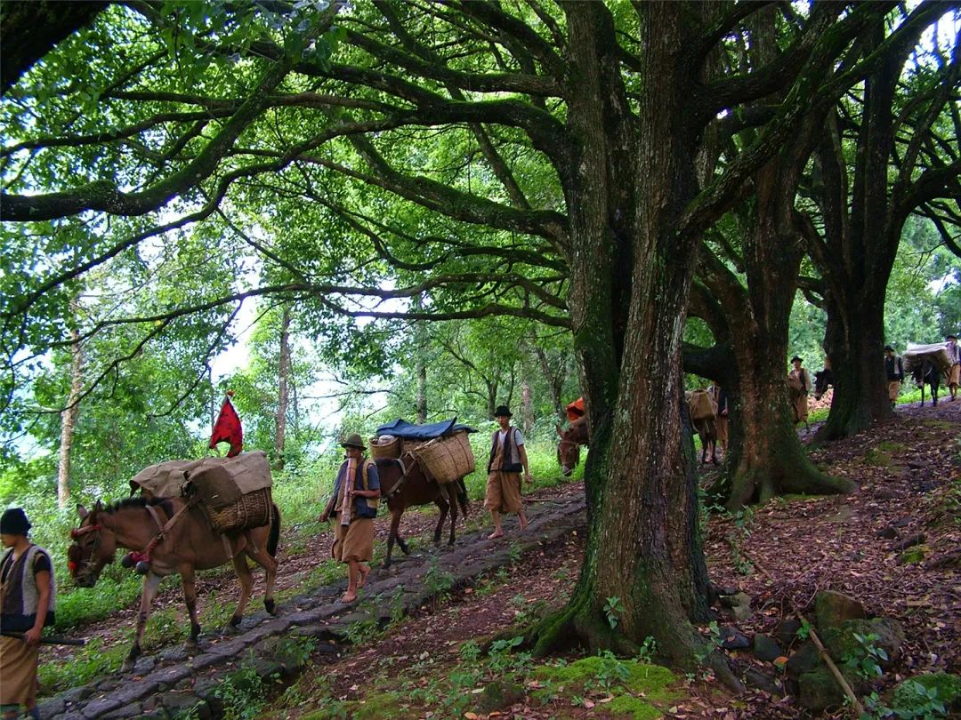 騰沖會(huì)議酒店