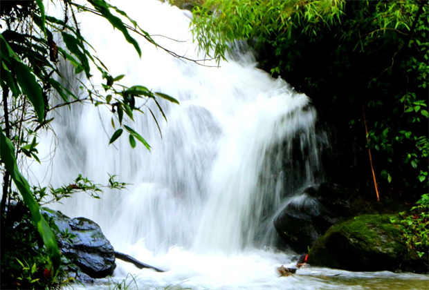 有一種叫云南的生活｜來(lái)騰沖市猴橋野生菌交易會(huì)開(kāi)啟美味之旅