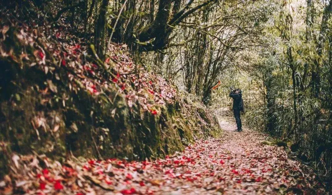 騰沖旅行團,騰沖策劃公司,騰沖拓展公司：走進秋色高黎貢