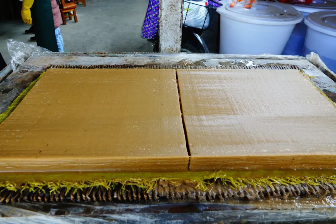 手工抄紙才有生命